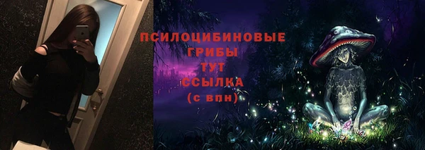 кокс Баксан