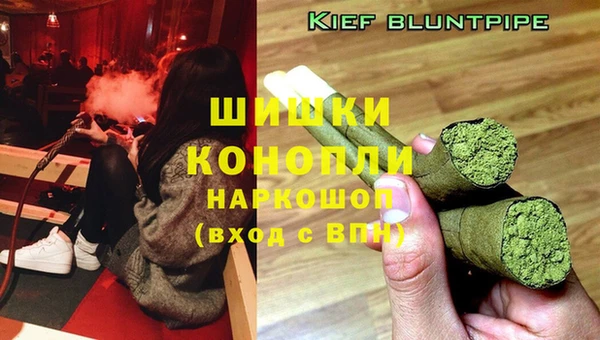 трава Балахна
