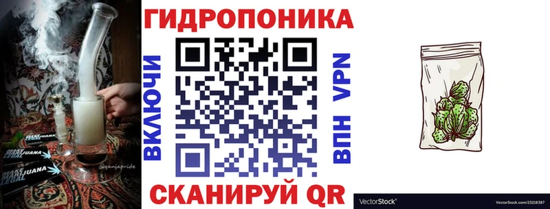 Конопля планчик  Вязьма 